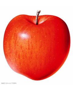 test20241231-virtual